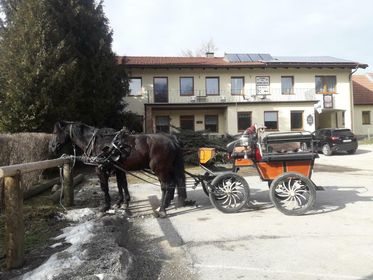 Dorfwirtshaus Rauch 호텔 Eschabruck 외부 사진